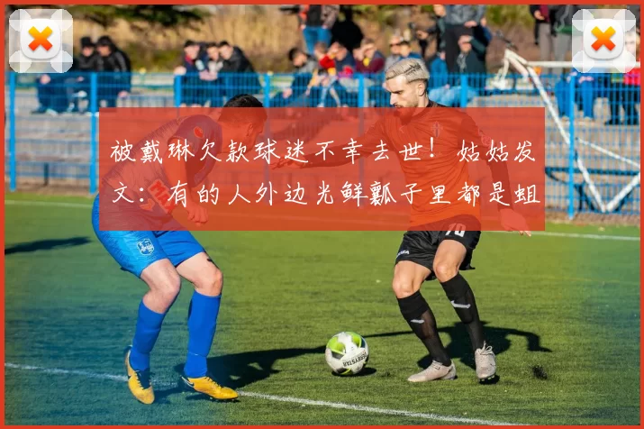 被戴琳欠款球迷不幸去世！姑姑发文：有的人外边光鲜瓤子里都是蛆