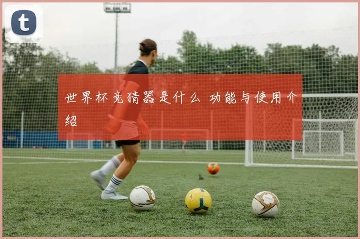 世界杯竞猜器是什么 功能与使用介绍