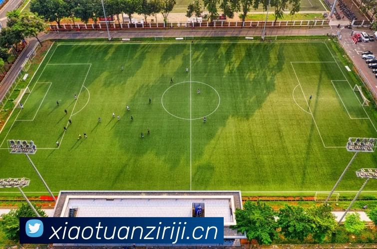 开云·kaiyun体育(中国大陆)官方网站 登录入口平台生态图